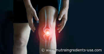 NXT awarded composition patent on TamaFlex botanical extract combo - NutraIngredients-usa.com