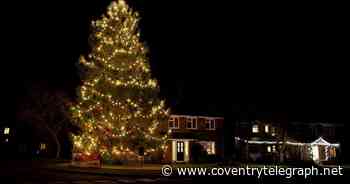 Christmas trees: where you can buy them in Coventry and Warwickshire - Coventry Live