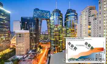 Bright lights in cities cause spring to come early, study shows