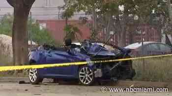 Man Dies After Crashing into Tree at Miami International Mall