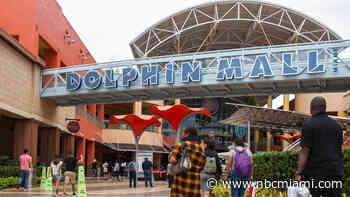100 Percent Chance of Snow Every Night at Dolphin Mall's Magical Snowfall