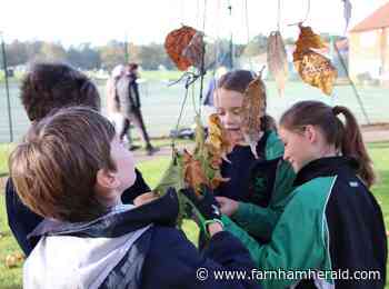 Let's take a leaf out of pupils' book for climate - Farnham Herald