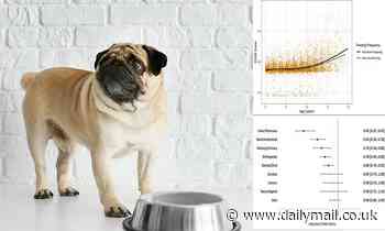 Pets: Dogs fed once a day are less likely to be diagnosed with age-related conditions