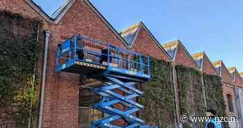 Stad installeert 30 nestkastjes voor gierzwaluwen in Park Spoor Noord - PZC