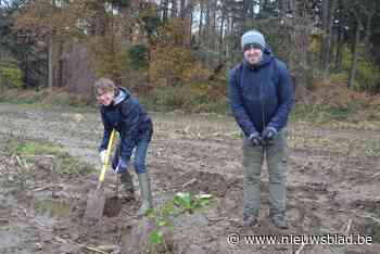 Provincie plant nieuwe bosrand aan Hospicebossen: “Elke hectare telt”