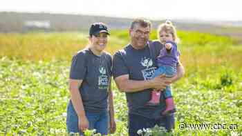 P.E.I. farmers 'losing money day by day' in potato export crisis