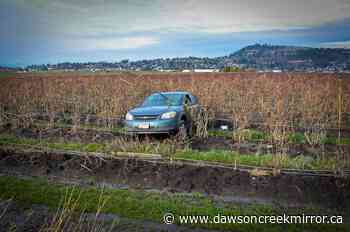 BC flood update: Farmers face massive flood losses - Dawson Creek Mirror