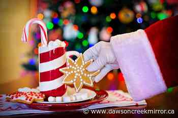 Dawson Creek SPCDC still taking Christmas Santa kit sign ups - Dawson Creek Mirror