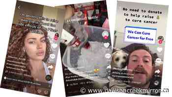 TikTok's impact on public health needs research: UBC scholars - Dawson Creek Mirror