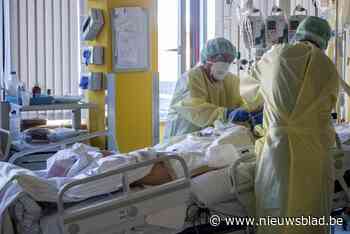 Coronastijging in Kempen remt al hele week lichtjes af