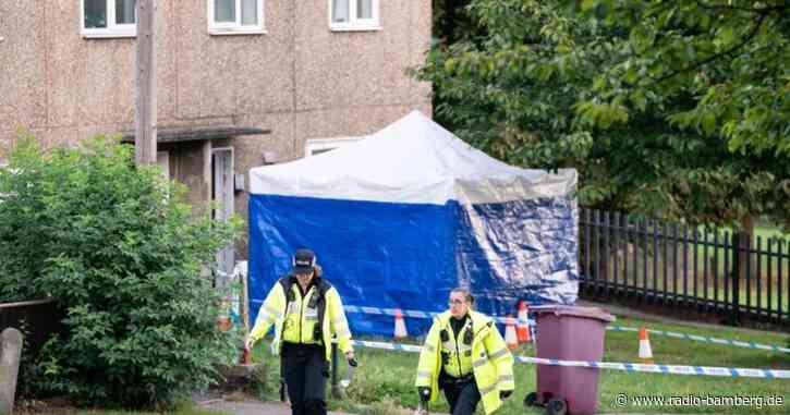 Partnerin und Kinder getötet – Mädchen vergewaltigt
