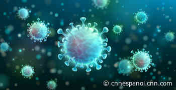 Minuto a minuto: nueva variante del coronavirus lleva a prohibiciones de viajes y sacude los mercados - CNN