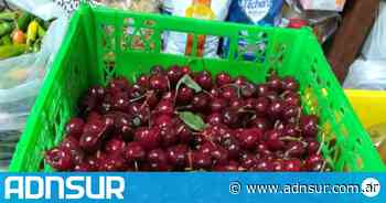 El kilo de cerezas sale $1400 en Buenos Aires: a qué precio se consiguen en Comodoro - ADN Sur