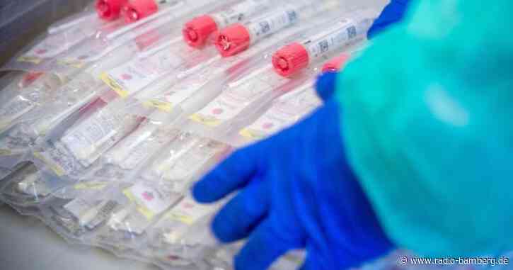 Corona in Hollfelder Schule