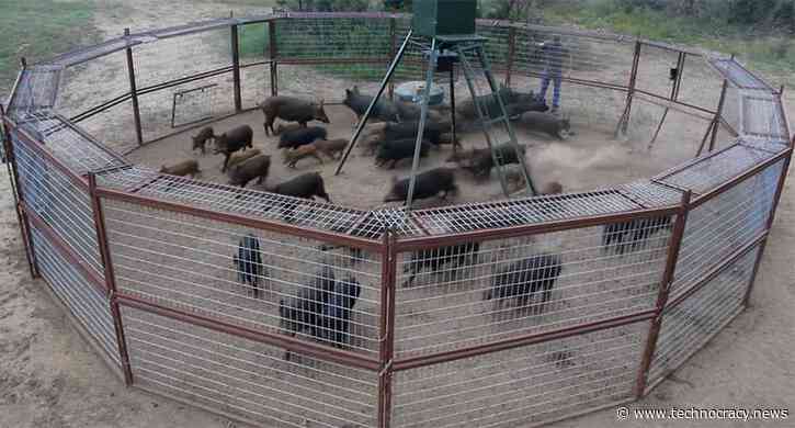 Technocracy Is ‘Hemming Us All In With No Consent, No Debate, No Right To Opt Out’