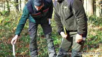 Traunstein: In 20 Prozent der Jagdreviere muss der Wildbestand noch angepasst werden - chiemgau24.de