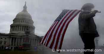 Woman's Jan. 6 Outfit Destroys Dem Lie Capitol Rioters Planned Insurrection to Overthrow America