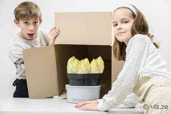 Vlaams-Brabant voedt kinderen op met witloofboxen - Vilt