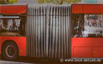 Cochem-Zell: Zehn neue Buslinien starten ab Mitte Dezember - Blick aktuell