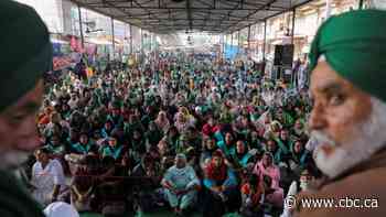 How India's farmers faced down their prime minister and won