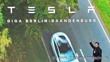 Tesla entgeht Milliardenförderung vom Staat