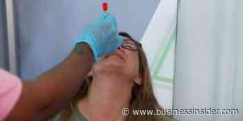 New coronavirus variant Omicron: what we know so far about B.1.1.529 - Business Insider