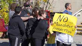 Liberals introduce bill to provide sick pay, ban intimidation of patients and health-care workers