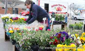 Port Colborne Farmers' Market looks for feedback as 2021 season ends - Niagarathisweek.com