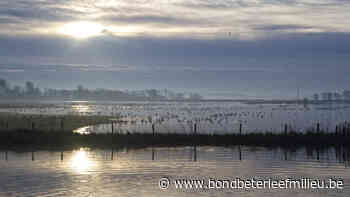 Van Glasgow naar Mortsel - Bond Beter Leefmilieu