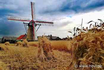 Ovenburen haalt eerste 15.000 euro via crowfunding binnen (Bocholt) - Het Belang van Limburg Mobile - Het Belang van Limburg