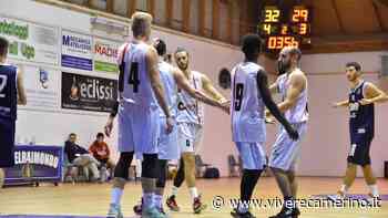 Vigor Basket Matelica, arriva Todi - Vivere Camerino