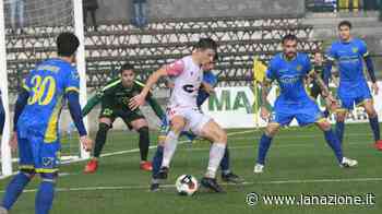 Carrarese, un punto con l'Ancona Matelica. Ma serve a poco. Nubifragio in campo - La Nazione