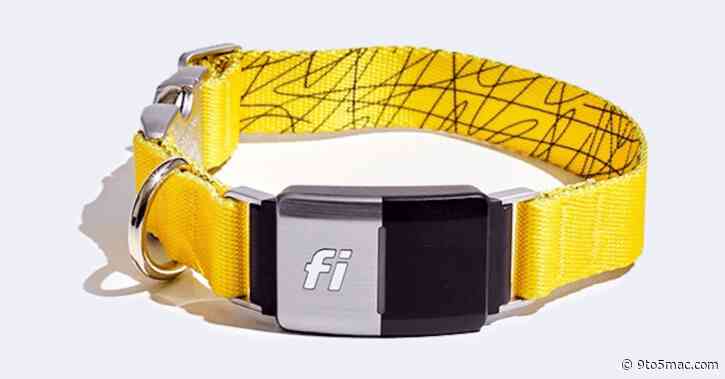 AirTags for your dog? Fi will track your buddy everywhere for $50