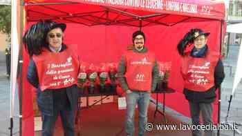 Le Stelle di Natale e i Sogni di Cioccolato Ail Cuneo tornano nelle piazze della Granda - LaVoceDiAlba.it
