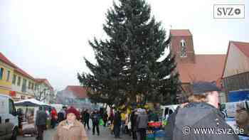 Parchim: Trotz Corona soll Bauernmarkt stattfinden | svz.de - svz.de
