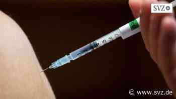 Angebot in Ludwigslust-Parchim: Mobiles Corona-Impfteam hält am Freitag im Kloster Zarrentin | svz.de - svz.de