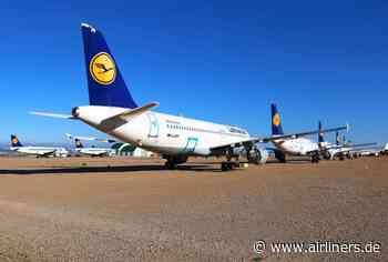 Aviation Management - Der verzweifelte Überlebenskampf der Airlines während Corona - airliners.de