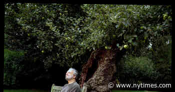 Stephen Sondheim: The Essential Musical Dramatist Who Taught Us to Hear