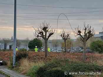 Treinverkeer tussen Kortrijk en Oudenaarde nog niet mogelijk - Focus en WTV