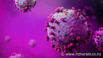 Covid 19 coronavirus Delta outbreak: New mutant strain reaches Israel - New Zealand Herald