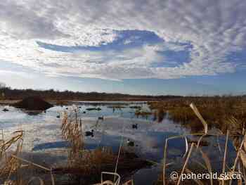 New ecological reserve protects portion of Saskatchewan River Delta - Prince Albert Daily Herald