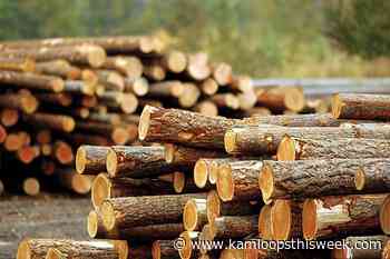 Interfor transfers forest tenure to Simpcw First Nation - Kamloops This Week