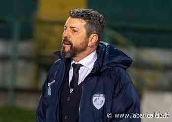 Campilongo: "Bari, la continuità sta facendo la differenza. Squadra diversa dalla Ternana" - La Bari Calcio