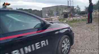 Omicidio in casolare Bari, killer 44enne torna in carcere - Agenzia ANSA