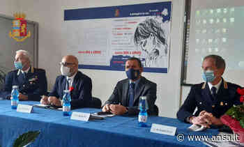 Violenza donne: in 6 mesi 230 misure cautelari a Bari e BAT - Agenzia ANSA