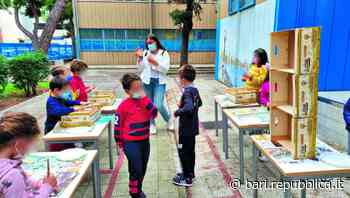 La scuola che funziona, a Bari gli alunni progettano le aule-natura e studiano gli alberi del giardino - La Repubblica