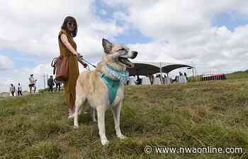 Best Friends to hold beam-raising event in Bentonville - Northwest Arkansas Democrat-Gazette