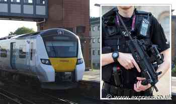 Four arrested as armed police swoop on Kent station - locked down after report of 'gunman'