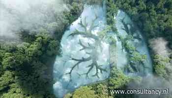 CO2-belasting hoognodig om klimaatdoelen te halen - Consultancy.nl