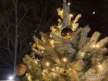 Tree Lighting At Rhode Island State House To Be Held Dec. 2 - Patch.com